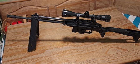 classifiedImage
