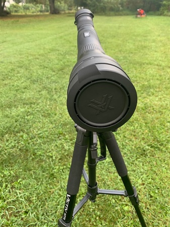 classifiedImage