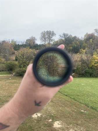 classifiedImage