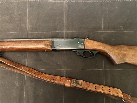 classifiedImage