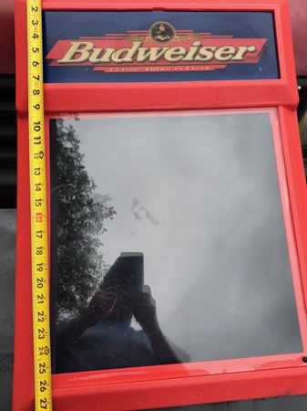 classifiedImage