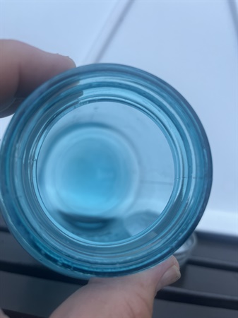 classifiedImage