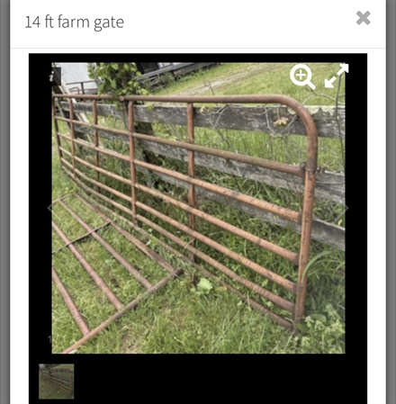 classifiedImage