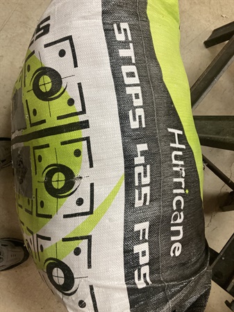 classifiedImage