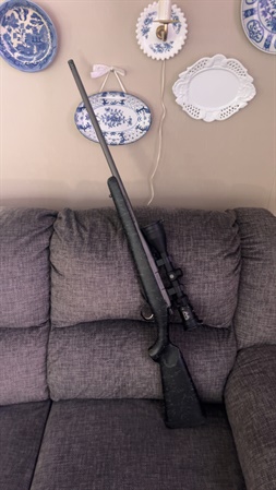classifiedImage