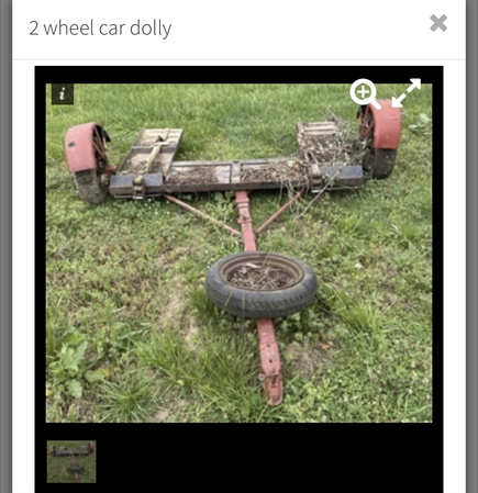 classifiedImage