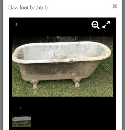 classifiedImage