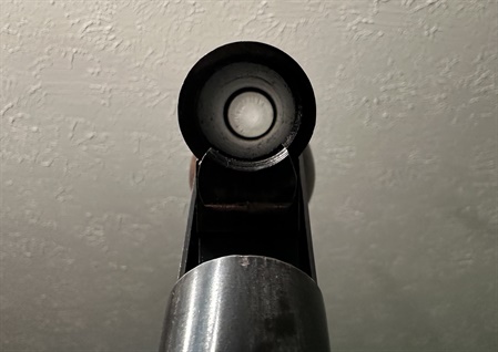 classifiedImage