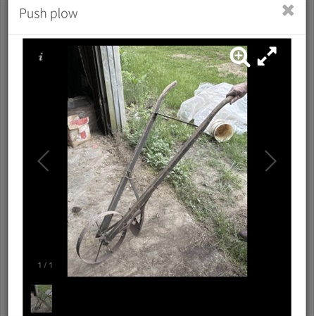classifiedImage
