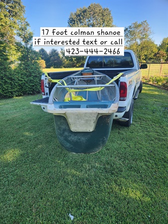 classifiedImage